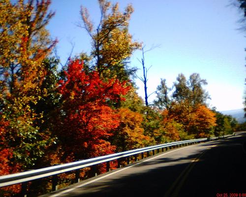 fall colors - This was taken as I was driving down Tracy mountain. I think this one picked up the brightest colors of the pictures I took that day. By the way I was traveling about 40 mph when I snapped that shot through my windshield.