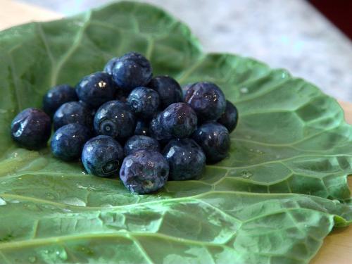 Blueberries - A bunch of blueberries on a bok choy leaf.