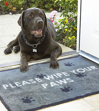 pets - photo of pets..!