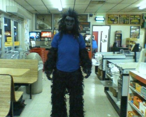 gorilla - stockmonkey