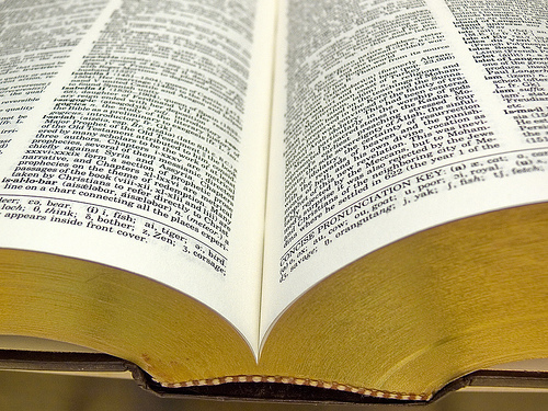 Sleeping Book - A thick and boring book I use to put me to sleep.