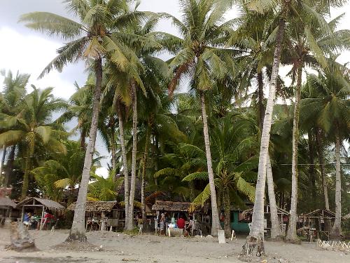 philippines - beach in the philippines