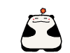 panda - funly with panda
