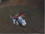 wow account - i miss wow :(
