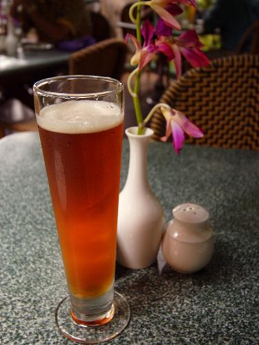 Pilsner - A cold pint of Pilsner.