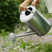 gardening - Gardening is an absorbing hobby which gives mental peace