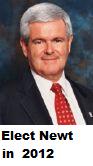 Newt Gingrich for President - A photo of Newt Gingrich with the caption 'Elect Newt in 2012.'