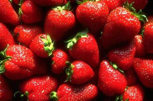 fruit - pic of strawberry