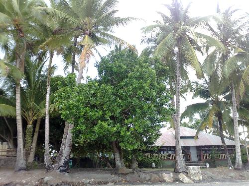 philippines - take a look at the philipine beach