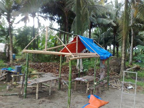 philippines - bahay kubo in the philippines