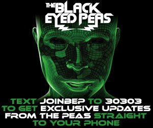 black eye peas - E.N.D album