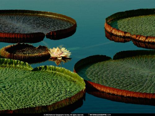 travel - national geography wallpaper
