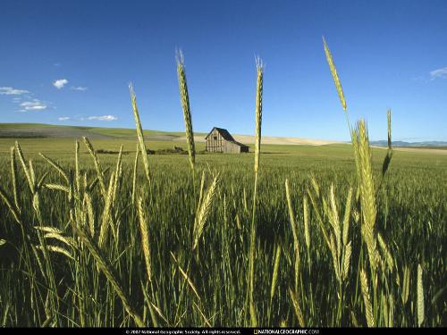 travel - national geography wallpaper