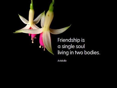 love - loving a friend