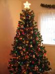 Christmas Tree - A Fully decorated Christmas Tree