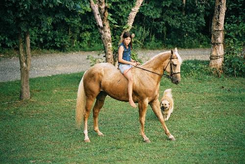 me and my horse sunny - sunny is just looking so statuesque in this pic.
