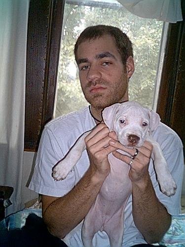 me and my dog - me and my dog dutches