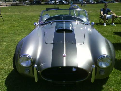 shelby - mustang shelby