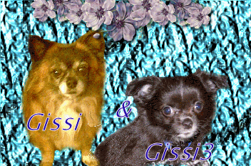 Me and Gissi3 - Here he is Gissi3 and of course me