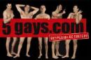 gays - gays...