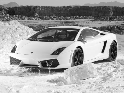lamborghini - nice car....