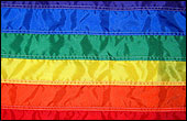 Rainbow Flag -  A framed Rainbow Flag