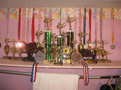 Trophy Shelf - A portion of the shelf which holds my daughter's trophies and medals.