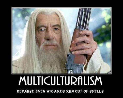 Multiculturalism - Multiculturalism: Because even wizards run out of spells! :)