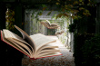 Flying Books - Just imagine if the books started to fly and goes whereever and whatever place they are supposed to go. Good imagination