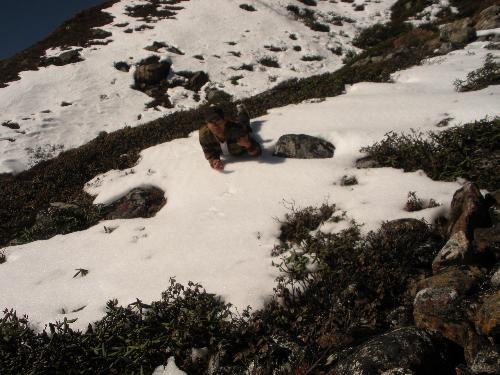 gangtok - this is the photo taken by me in gangtok(sikkim). you can see the beauty of the photo.