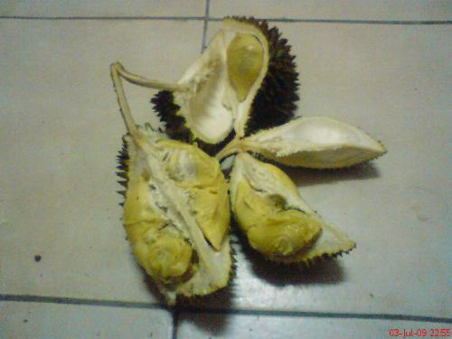 exotic fruit - Durian ! - known as the King of Fruits in Asia.. depending on individuals - some say the smell is sweet, some say it is just 'disgusting' - but almost would agree that the fruit tastes heavenly...