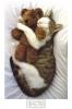 A cat's best friend - A close look at a cat's life one can see interesting activities.