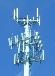 Living in the sorrounding areas of cell phone towe - one should fight against this issue of keeping towers in the living areas..