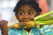 Eating corn - A little indian girl eating roasted corn on the cob.