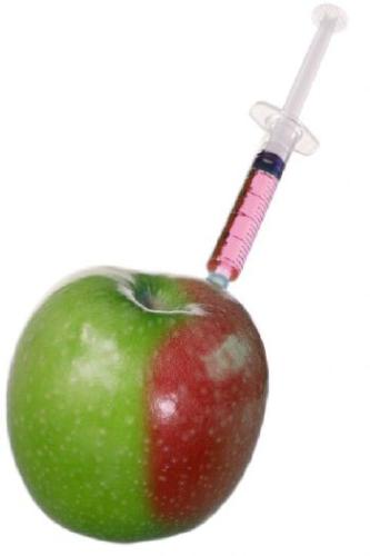 Genetically modified foods - According to some medical specialists, genetically modified foods are as safe to eat as foods made from plants modified by more traditional methods of plant breeding. But at the same time, most people are refused to eat the GM foods for its potential dangers.