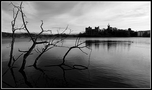 Linlithgow Palace - This is a photo of Linlithgow Palace, viewed from across Linlithgow Loch. I grew up in Linlithgow, and I love this photo. Mary Queen of Scots was born here, in the Palace.