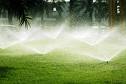 water - water given to the grass