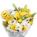 Cheerful Flowers to make you smile - Flowers always makes people smile. The look, the scent, the gift ;) Here are some flowers for you to try to make you smile and encourage you to have fun.