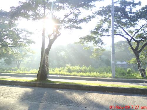 morning sun -  this photo was taken during my morning walk at the park. Having a sun starts to shine beneath the tress. It is so relaxing!