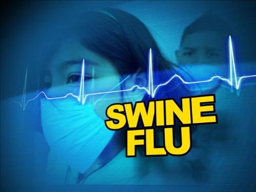 Swine Flu - The H1N1 is spreading all over the world and more and more people die of such a serious disease. I think we should take some necessary measure to prevent it spreading.