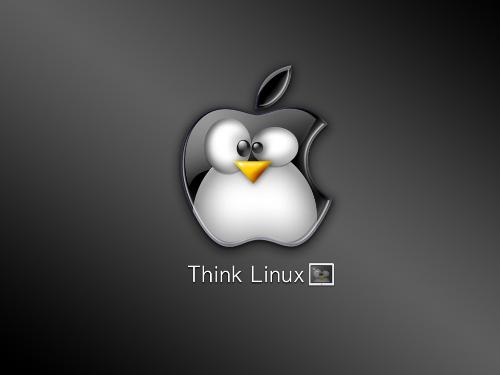 internet - picture of linux start up