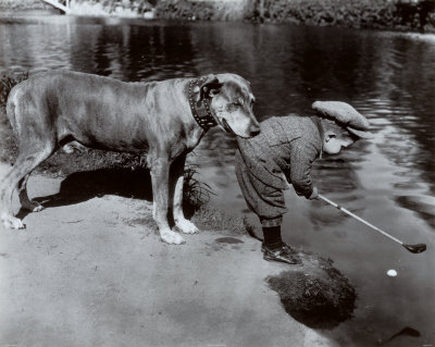 Beautiful friendship - A friend always keep us safe. They'll help us in everything we do.