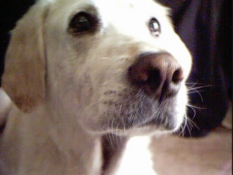 My Buddy! - A face only a mother could love! ;-)