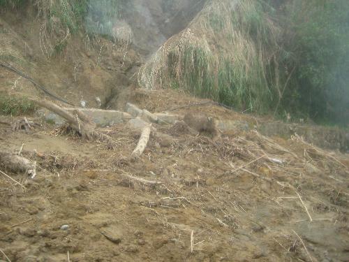 philippines - natural destruction in the philippines