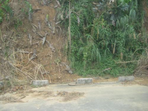 philippines - philippines to