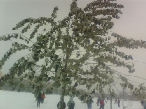 heavy snow - a heavy snow last wendesday