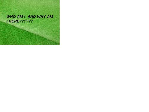 Question - Question is Who am I and why am I here in this world?