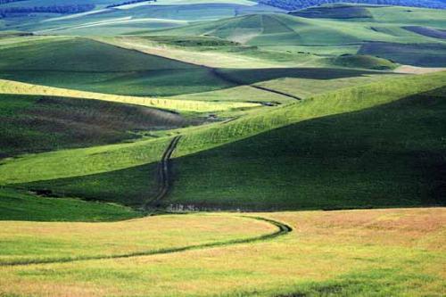 the scenery along the way - When during a journey, people do not have to care about the destination, it is important that the scenery along the way.