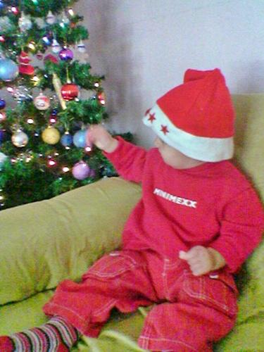 Mickey loves the Christmas Tree - This pic is from last year.