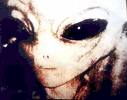 Alien - A photo of an alien